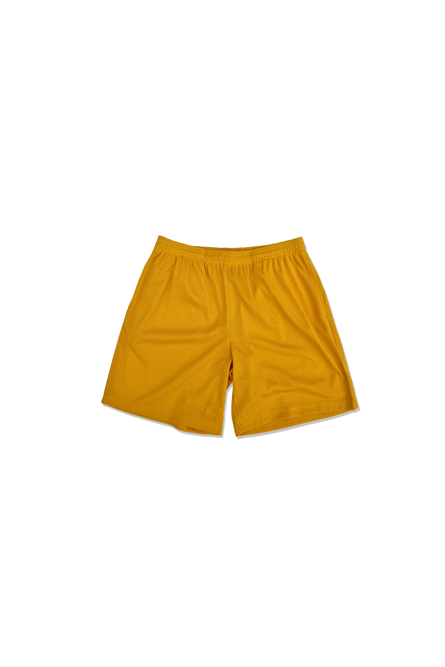 Practice Mesh Shorts